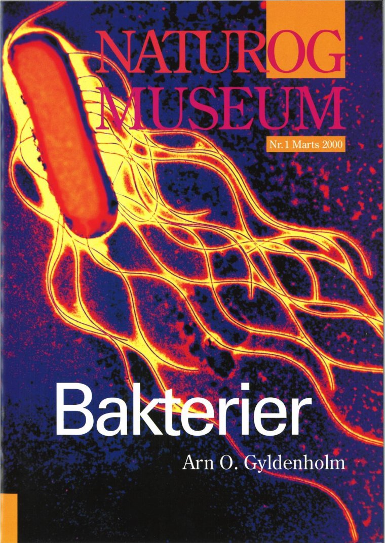 Bakterier